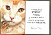 Киски 28